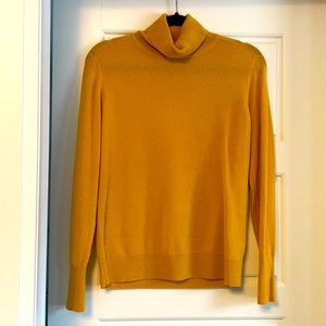 Everlane turtleneck sweater